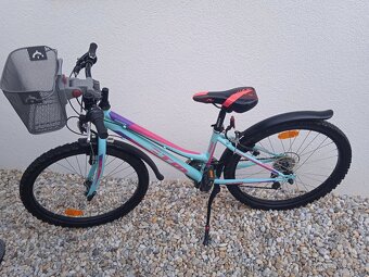 CTM Mony 24" - 2