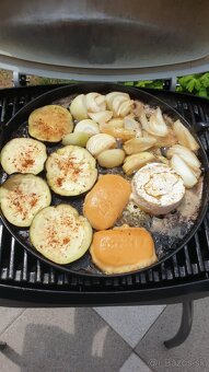 Plynový gril WEBER Q 1200 - 2