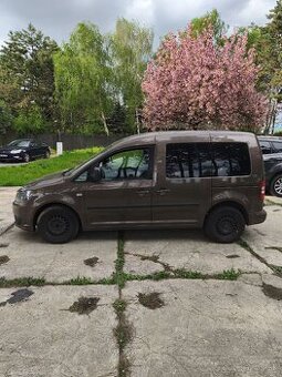 Predam Caddy - 2