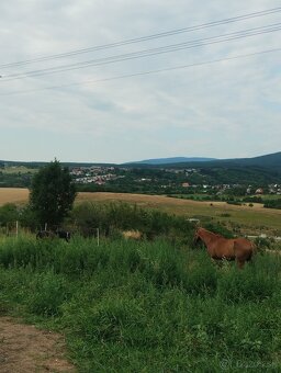 Ustajnenie - 2