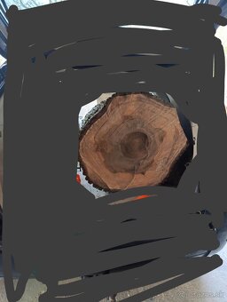 Orechový peň / kmeň - 2