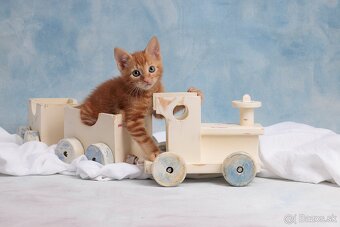 Drevený vláčik - 2