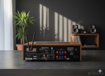 NAD C 3050 LE – limitovaná edícia (50th Anniversary) - 2
