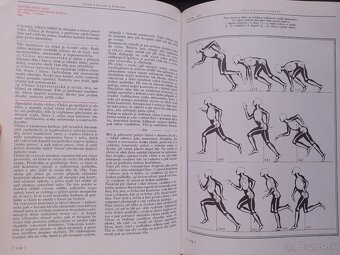 Anatomie pro výtvarníky - 2