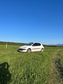 Peugeot 206 - 2