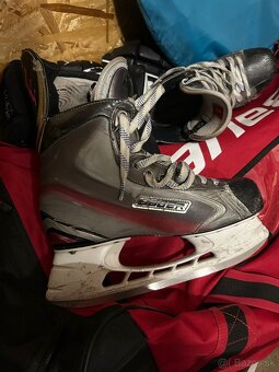 Predám korčule Bauer Vapor X6.0 veľ. 44 - 2
