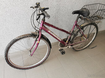Stary bicykel bordovy - 2