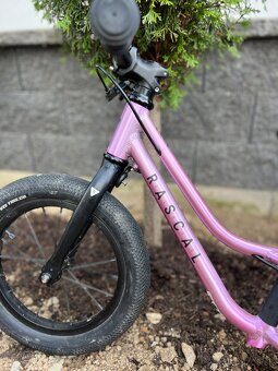 Rascal odrazadlo - 2