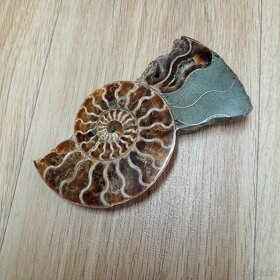 Predám Amonit - skamenelina - 2