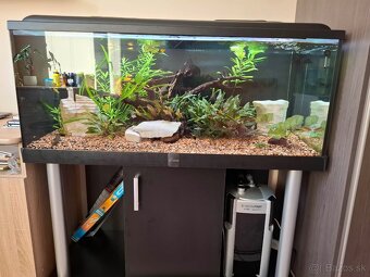 Akvárium 300 l - 2