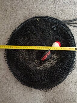 Kedrovnica a sieťka - 2