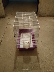 Klietka pre andulku, andulky - 2