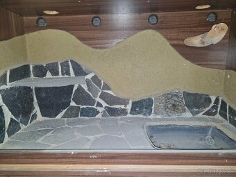 Darujem terárium - 2