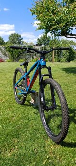 Polygon trid dirt jump bike - 2