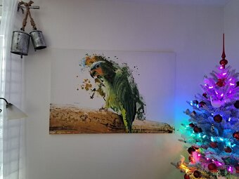 Predám obraz Amazoňana Modročelého - 2