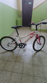 Dievčansky bicykel DENBIKE 20 - 2