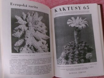 Kaktusy 1965 - 1985 - viazané časopisy. - 2