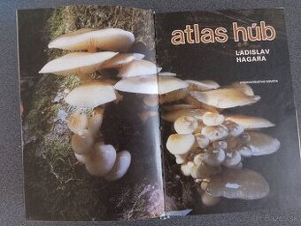Atlas húb - 2