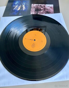 LP Pearl Jam - Vs. - 2