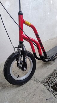 Kolobežka Arcore Rakoon - 2