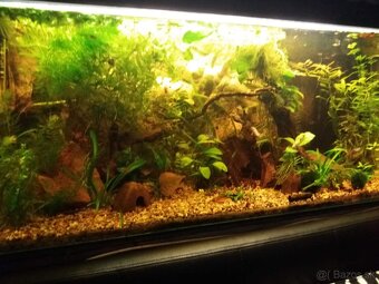 Akvarium 160 litrov - 2