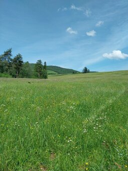 Predám pozemky pod Magurou - 2