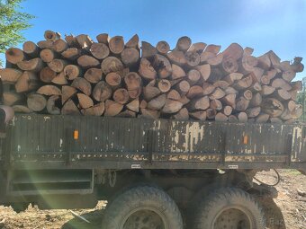Palivové drevo - 2