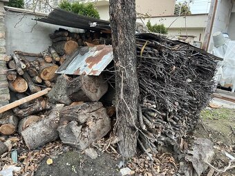 Palivove drevo - visna / ceresna - 2