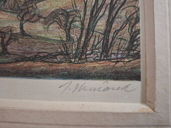 Obraz grafika signovaný - 2