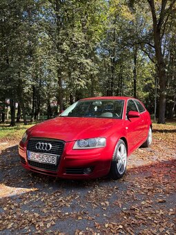 Audi A3 8P 2.0 TDI - 2