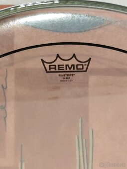 REMO PINSTRIPE CLEAR BASS - 2
