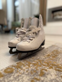 Korčule na ľad - 2