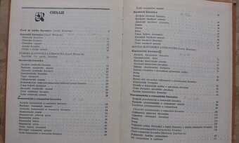 Literatúra pre stredné školy - 2