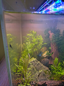 Akvárium Optiwhite sklo 20l - 2