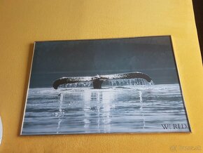 velký obraz chvost veľryby - 2