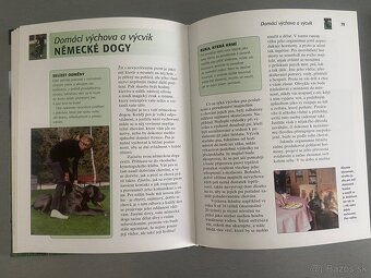 Nemecka doga - 2