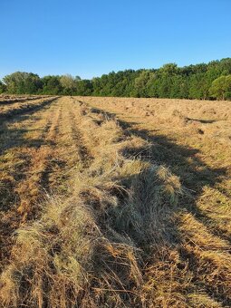 Kosenie, mulčovanie, hrabanie, balíkovanie - 2