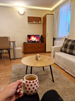 TOP cena 2-izbový BYT na PREDAJ vedla Donovalkova , s park - 2