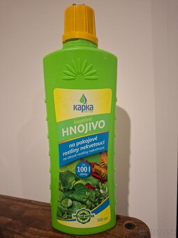 Svokrin jazyk, scindapsus scin, monstera adansonii - 2