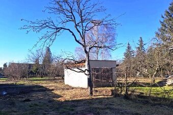 PLEŠ -domček s OVOCNÝM SADOM 2049 m2 - 2