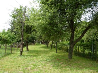 Predaj, rodinný dom, chalupa, Žikava, Topoľčianky - 2