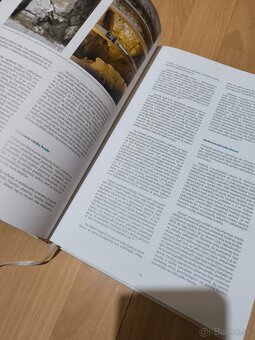 Budatínsky hrad - 2