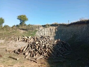 Palivové drevo - 2