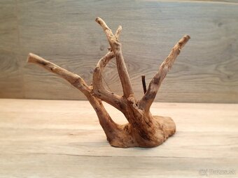 Koreň do akvária, terária - 2