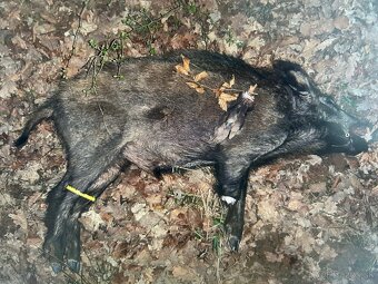 Sako Gamerhed 7.62x39 - 2
