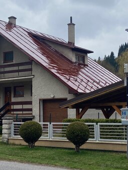 ✅❇️Natery striech# maľovanie natieranie - 2