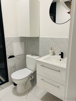 Na prenájom krásne rekonštruovaný 1 izbový byt v centre - 2