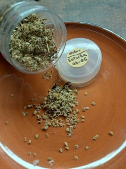 Semená zeleniny a ovocia - 2