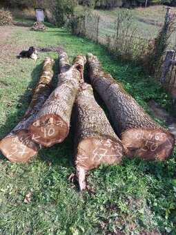 Predám orechové drevo - 2