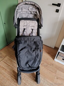 Športový kočík Petite & Mars Royal - 2